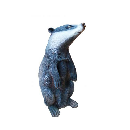 ������ 